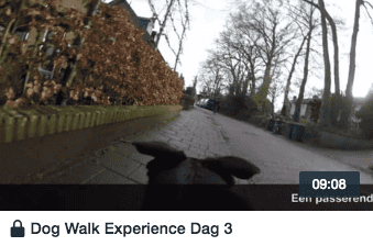 wandelen met je hond