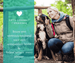 Bouw een sterke connectie met je hond