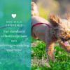 ontspannen wandelen met hond