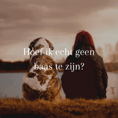 GRATIS online cursus - Hoef ik echt geen baas te zijn?